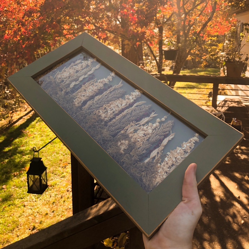 🌾Dried Herbs/flowers green Framed Wall Decor🌾